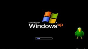 Peedy XP Tutorials pt 1: Windows Setup Of Blue.