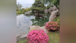 Отель МРИЯ - наша мечта