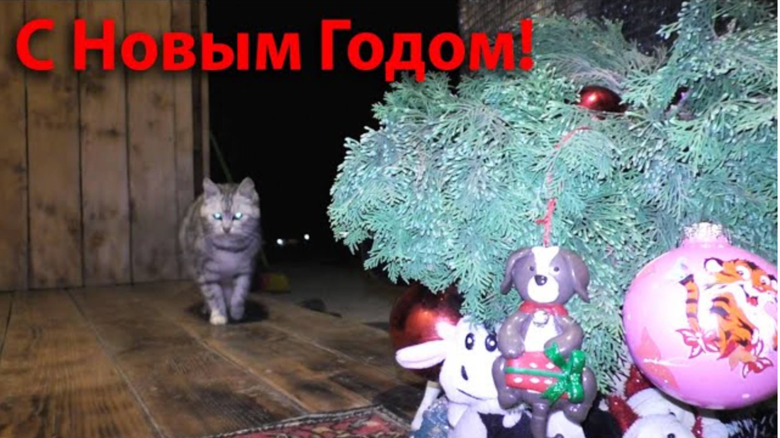 ❄❅❆ С Наступающим Новым Годом! ❄❅❆