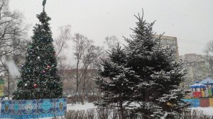 Снежный Владивосток , 22. 01. 2025