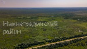 река Тавда. Часть 1 (болота, Нижняя Тавда). Вид с дрона.