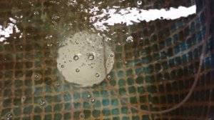 Реанимация распылителей для аквариума 2