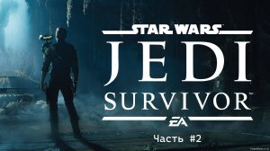 Star Wars Jedi Survivor  Прохождение #2