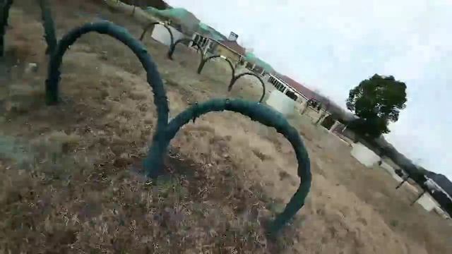    FPV-