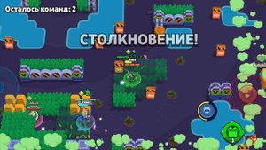 апаем кита