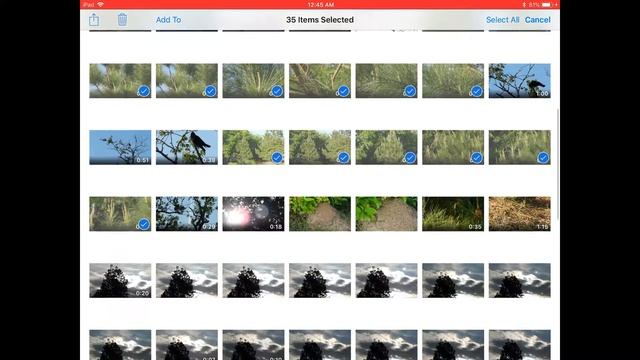 Import Using Apple Card Reader смотреть онлайн