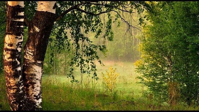 А Твардовский К обидам горьким собственной персоны…#философскаялирика #поэты20века смотреть онлайн