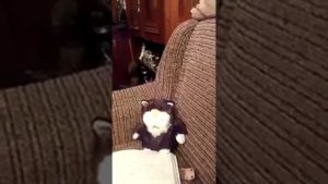 ВЕДЬМИНА ИЗБА ДЕНЬГИ ПО КРУГУ 1 ДЛЯ ВСЕХ