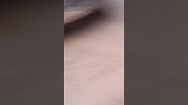 выживание