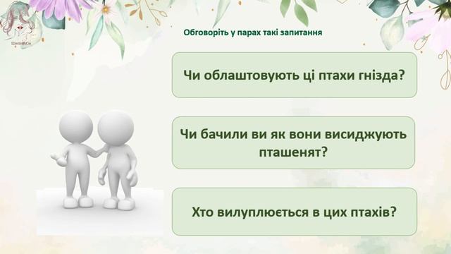 Де птахи в’ють гнізда. Як птахи доглядають пташенят. 2 клас