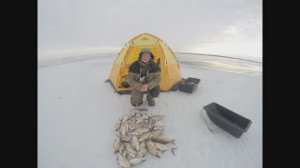 Когда молчит кивок. Аналитика зимней рыбалки.  Маныч от Юрия Философа