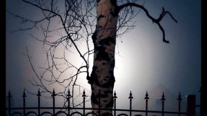 Е  Баратынский  Где сладкий шёпот #стихиозиме #поэты19века