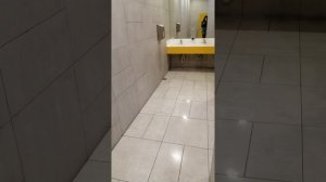 Crossdresser In the public restroom of the mall. Sexy mini skirt, high hells and stockings.