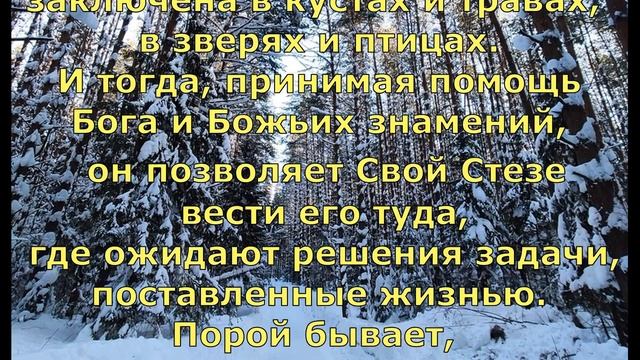 Притча о 10 девах евангелие. Притча 16 толкование. Притча 16 толкование. Притчи о мудрости царя соломона. Библейские притчи.