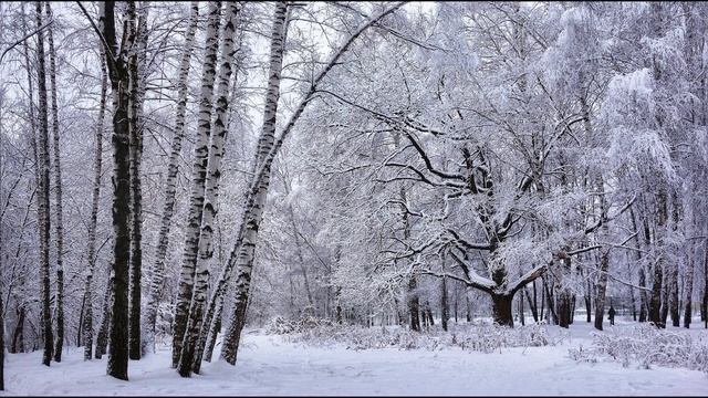 В  Брюсов  Первый снег стихиозиме стихиоприроде поэтысеребряноговека