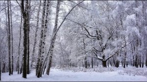 В  Брюсов  Первый снег #стихиозиме #стихиоприроде #поэтысеребряноговека