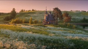 А  Белый  Родине #стихиородине #поэтысеребряноговека