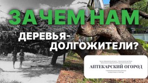 Как ухаживать за возрастным деревом? | Аптекарский огород