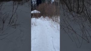 Норма употребления воды в день