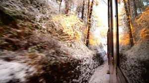 6615558-uhd_3840_2160_25fps
