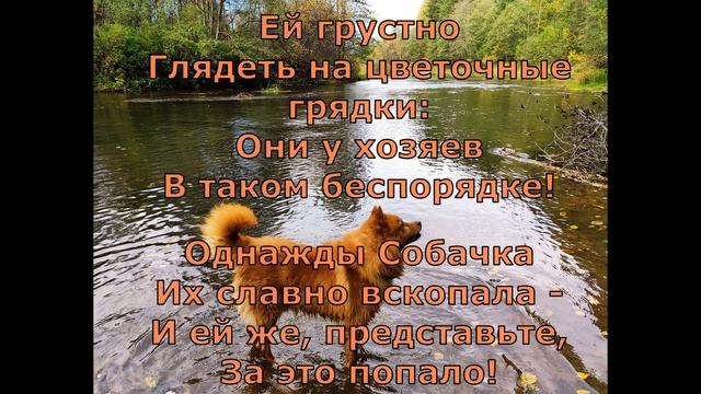 Б  Заходер  Собачкины огорчения #поэты20века #стихидетям  #стихиоживотных