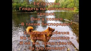 Б  Заходер  Собачкины огорчения #поэты20века #стихидетям  #стихиоживотных