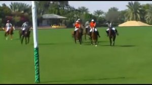 Catier 2013 polo series