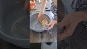Вкусные,сочные котлеты из фарша индейки и капусты😍