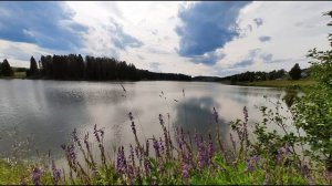 М Лермонтов Нет, я не Байрон, я другой #гражданскаялирика #поэты19века