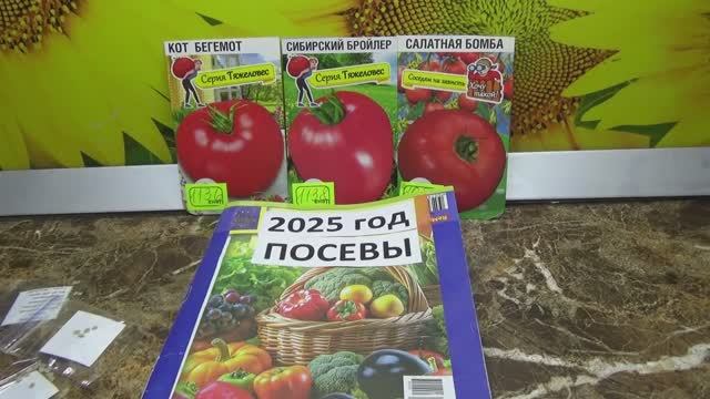 Как лучше разместить огурцы, перцы, арбузы арбузы и дыни в общей теплице для раннего урожая?