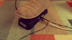 Jim Dunlop Cry Baby 95q