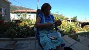 Как собрать семена огурцов. Огурцы семена лучшие сорта. Огурцы семенами в открытый грунт