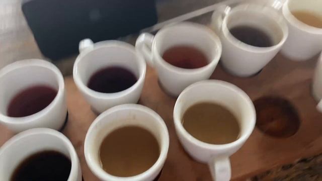Кофейная плантация на Бали с Люваками, бассейном и обзором кофе