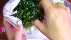 Unboxing Anubias Mini Kirin aka Petite Wavy