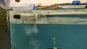 Подготовка нерестовой воды.