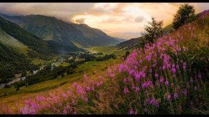 Р  Гамзатов Опять за спиною родная земля  Восьмистишия #аварскиепоэты #стихиородине#поэты20века