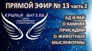 Прямой эфир №13 часть 2. Ад и рай. Камни. Присадки. О животных. Мыслеформы. Гипноз и лечение.