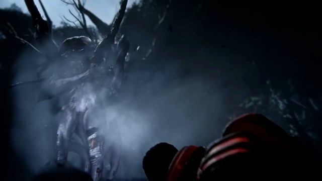 [GMV] Animals