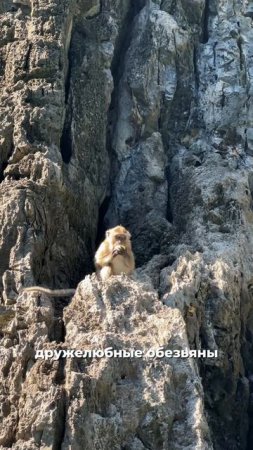 🛥️Улетная вечеринка на яхте на Пхи-Пхи