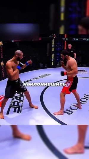 Идеальная правая Хамзата #mma #ufc