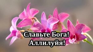 Все, сотворенное Творцом