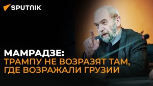 Политика Европы в отношении Грузии не изменится из-за Трампа – политолог