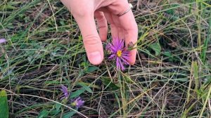А он мне в сердце радугу включил...