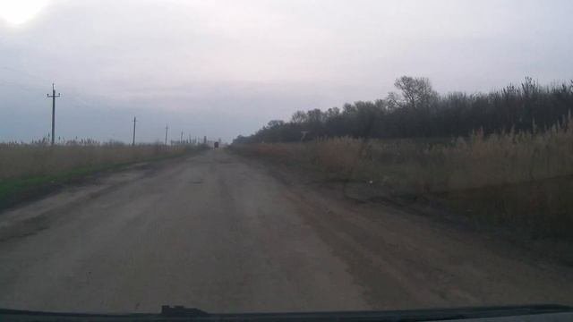 Рени 2013