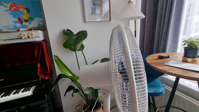 [被迫轉軚] 風扇開箱見真章！符合三大條件但有缺點｜買帳蓬玩大咗😅兩位小姐唔buy上車盤｜擇日找數瞓花園🙏 #BNO #移民英國 смотреть онлайн