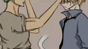 Зоро/Санджи