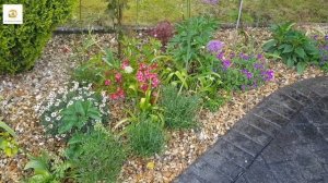 Late spring End of May tour of my small English garden in UK