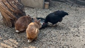 12582837_3840_2160_30fps