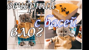 Мой вечер с Басиком|ВЛОГ