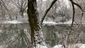 6520847-uhd_3840_2160_30fps